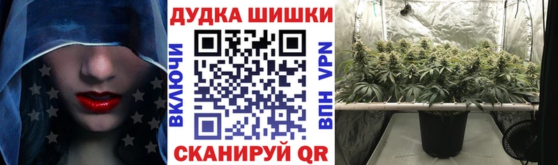 закладки Вышний Волочёк МАРИХУАНА White Widow